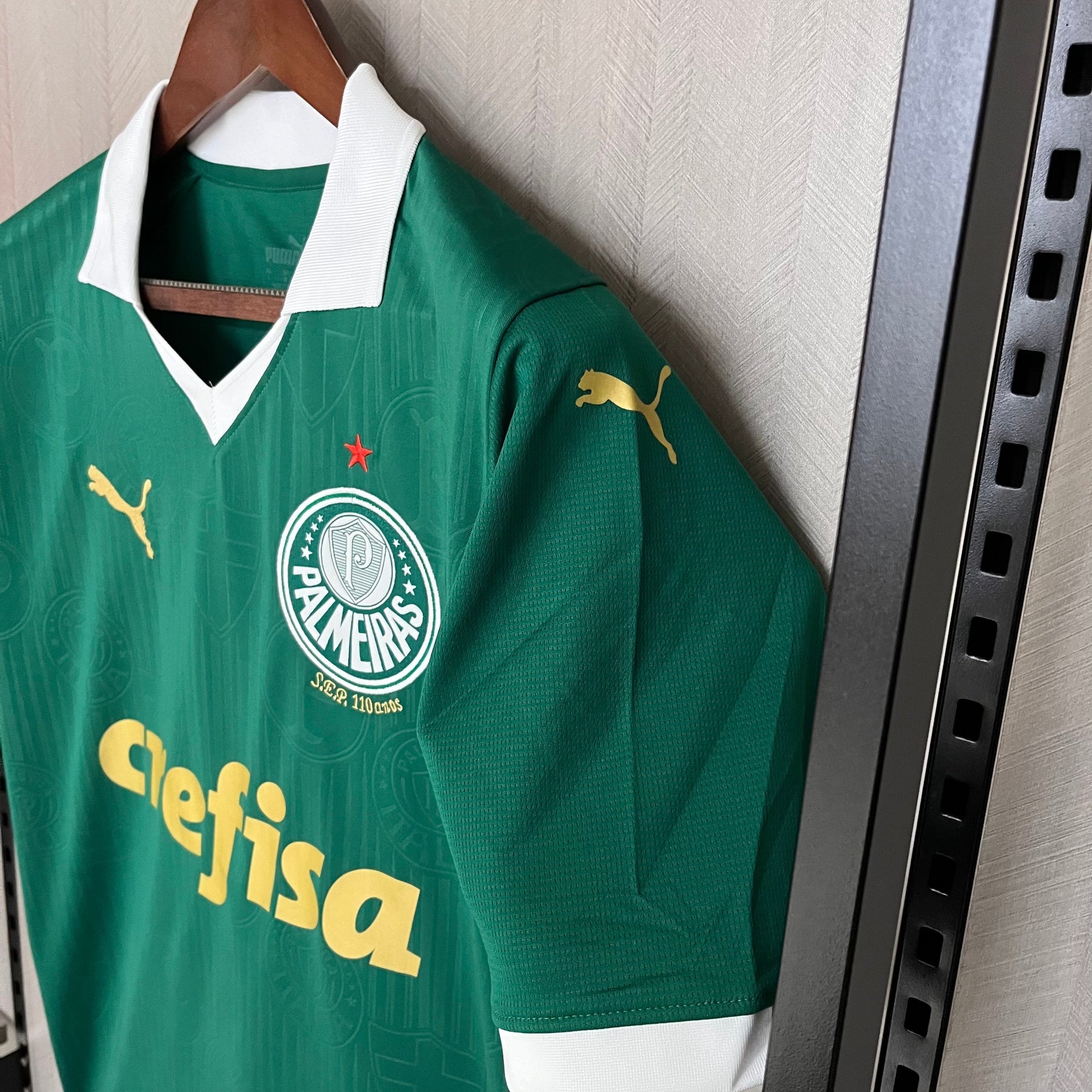 Camisa Palmeiras Home 24/25 - Verde | Torcedor