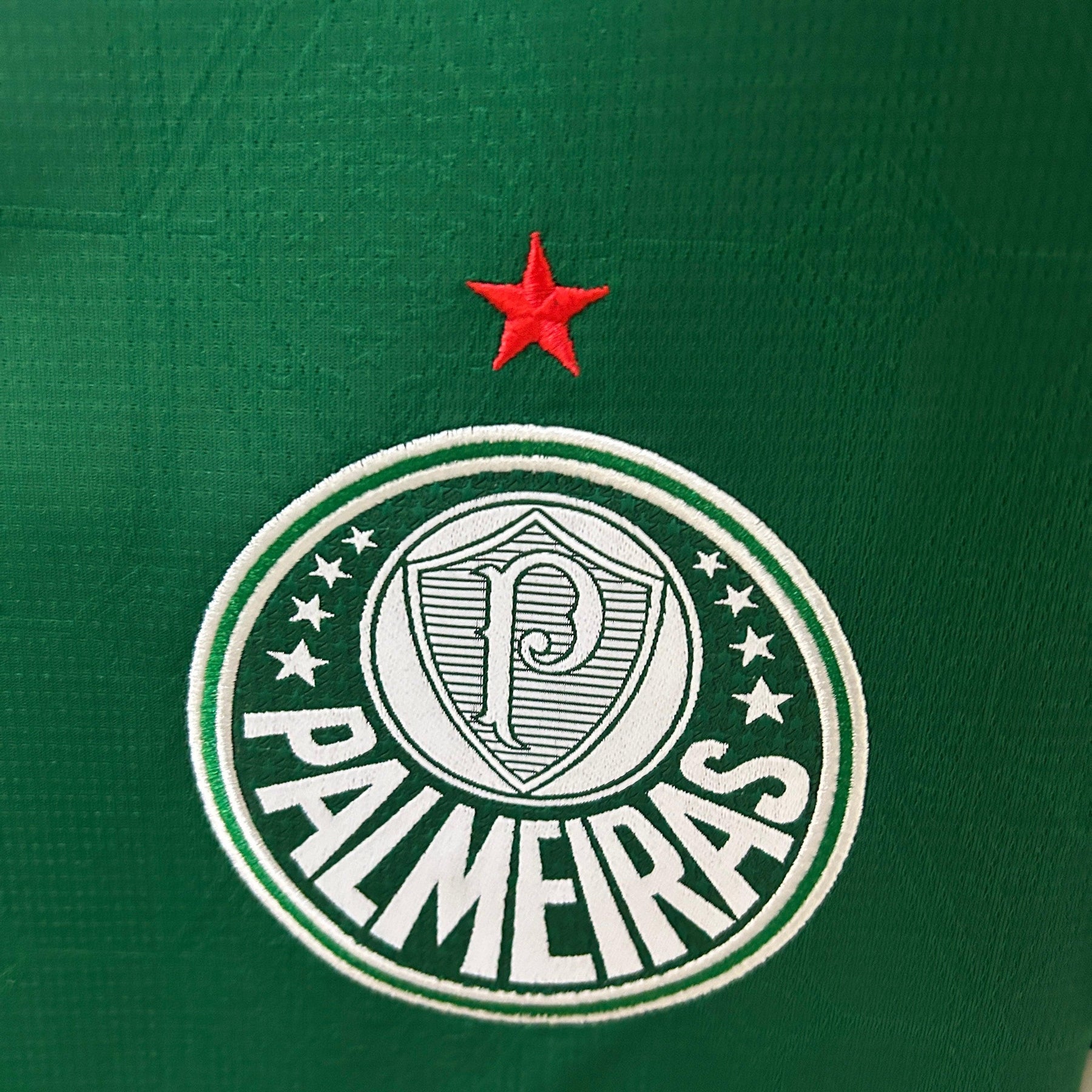 Camisa Palmeiras Home 25/26 - Verde | Torcedor - FutNews