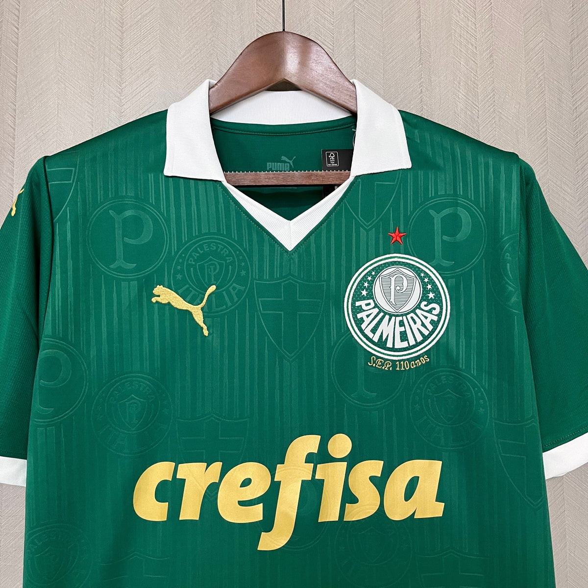 Camisa Palmeiras Home 24/25 - Verde | Torcedor